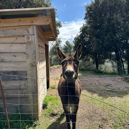 N10 Maison T2 Climatisé Avec Jacuzzi Privé *