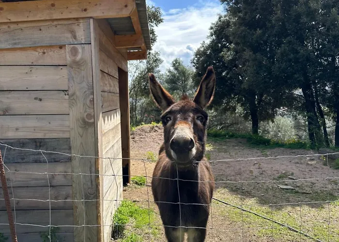 N10 Maison T2 Climatisé Avec Jacuzzi Privé *